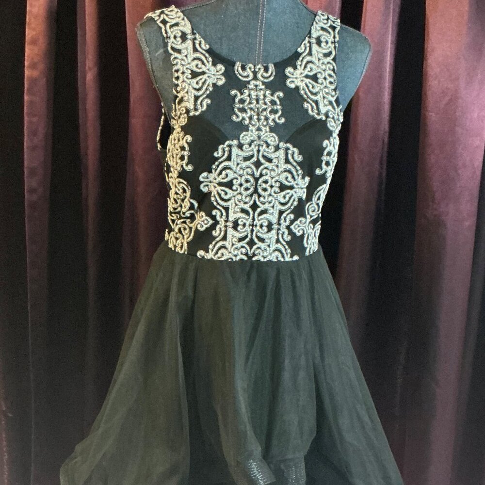 BLACK - SILVER THREAD TOP FRILLY TULLE BOTTOM DRESS